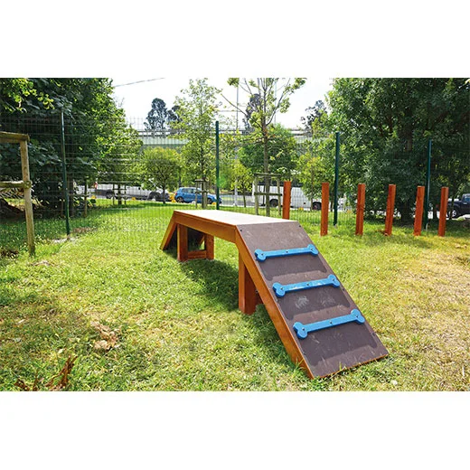 Köpek Parkı Rampası 35 Derece